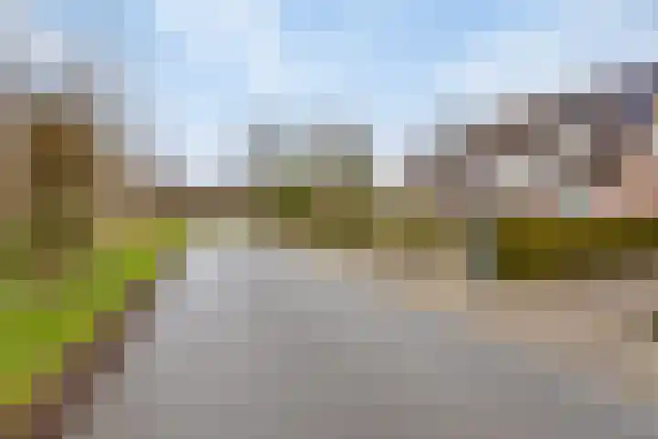 Platboslaan 38 Burgh-Haamstede thumbnail 21