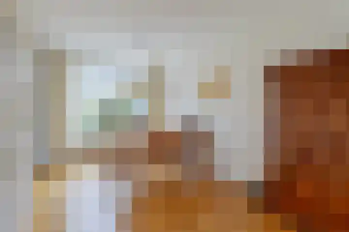 Platboslaan 38 Burgh-Haamstede thumbnail 6