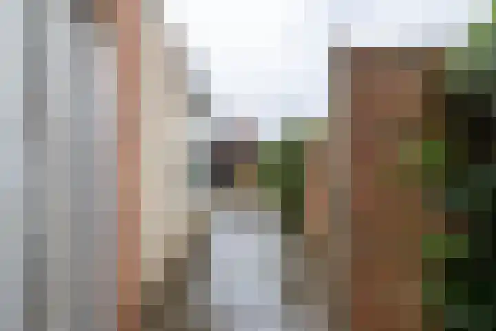 Plateau 10 Almelo thumbnail 30