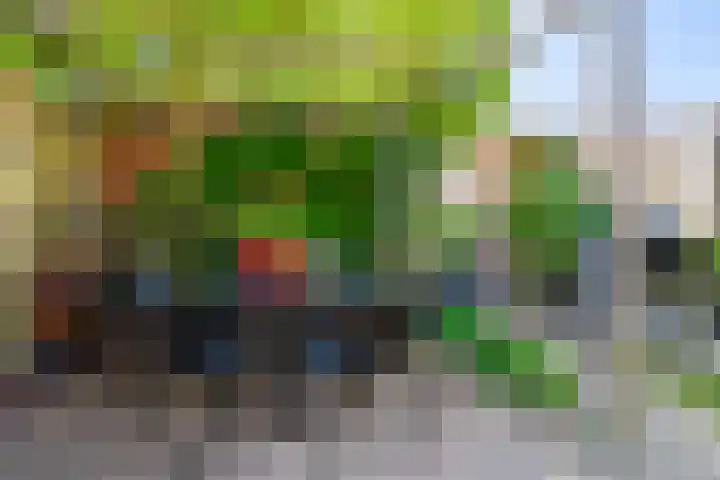 Plateau 23 Almelo thumbnail 26