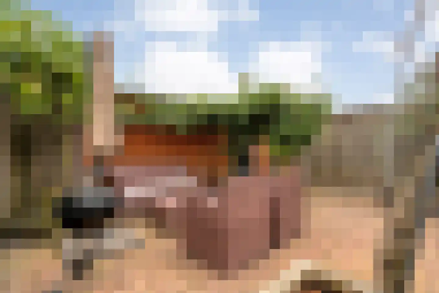 Plateau 25 Almelo thumbnail 30