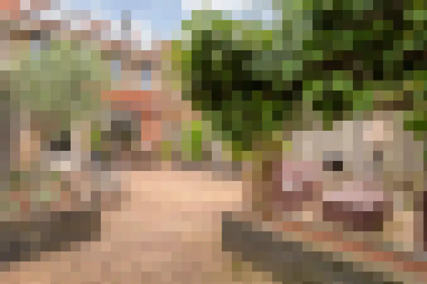 Plateau 25 Almelo thumbnail 31