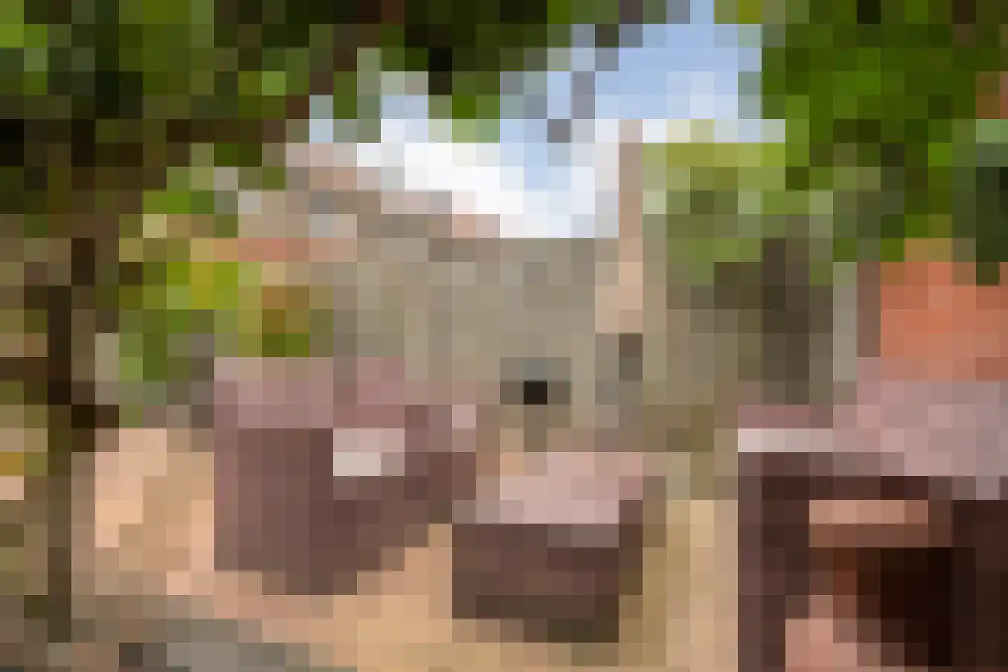 Plateau 25 Almelo thumbnail 32