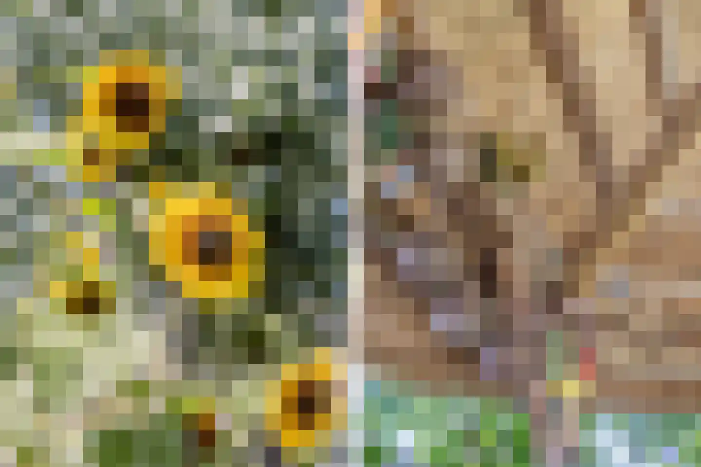 Plateel 24 Milsbeek thumbnail 30