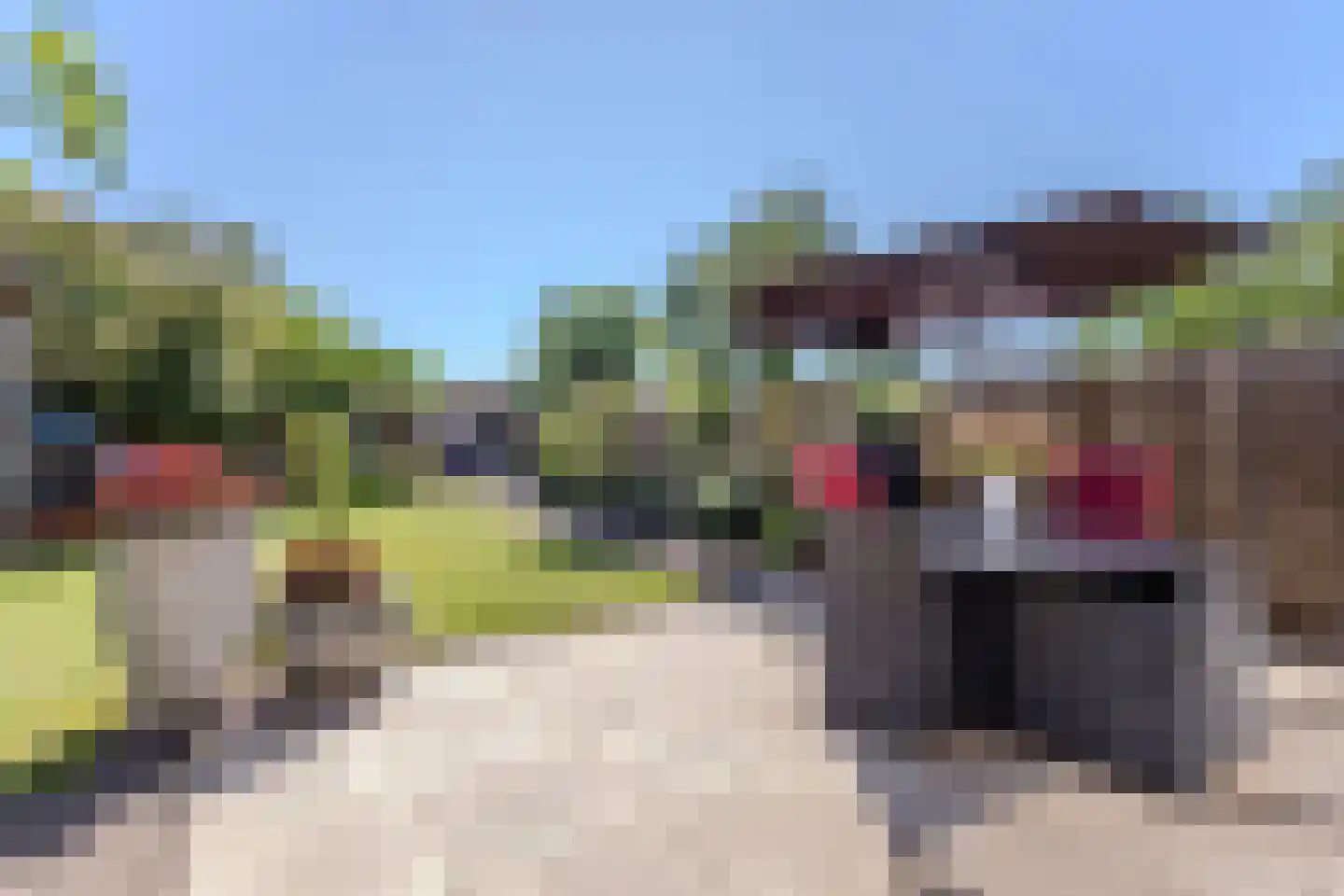 Plateel 24 Milsbeek thumbnail 32