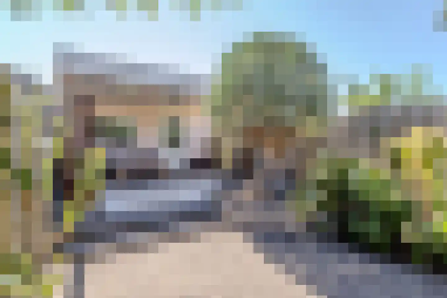Plateel 24 Milsbeek thumbnail 34
