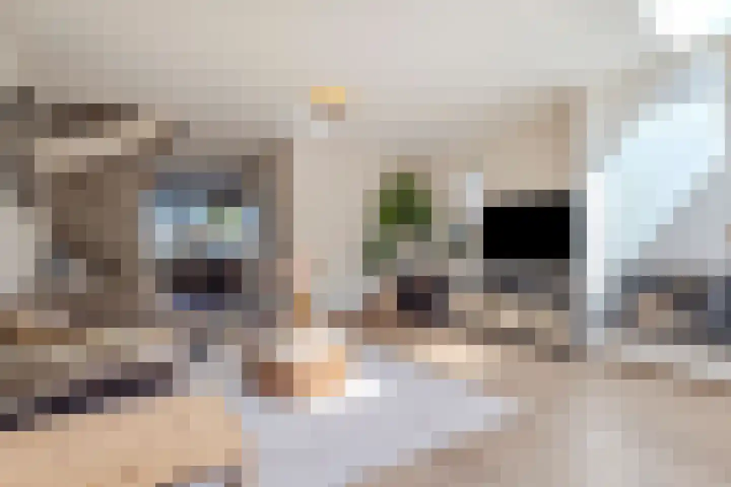 Plateel 24 Milsbeek thumbnail 9