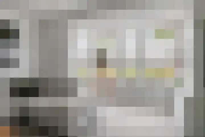 Plateel 8 Milsbeek thumbnail 12