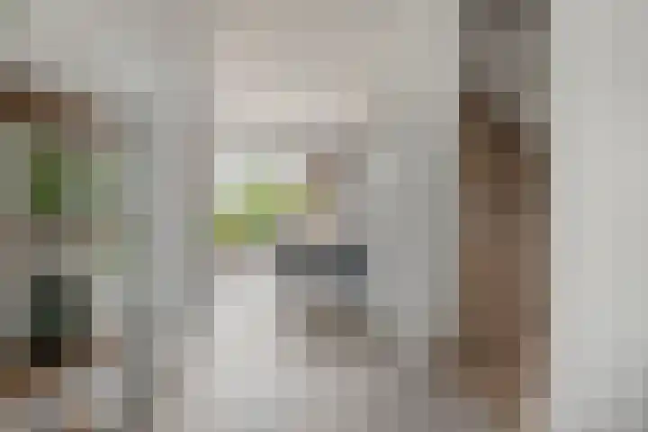 Plateel 8 Milsbeek thumbnail 14