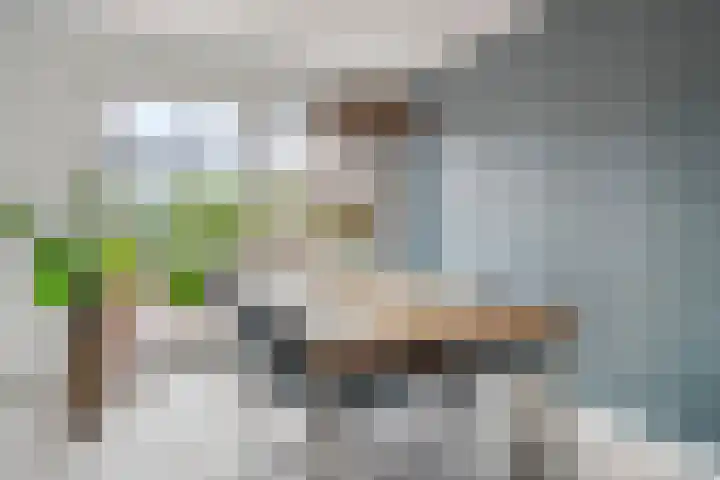 Plateel 8 Milsbeek thumbnail 15