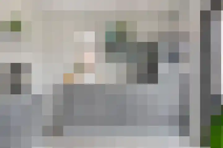 Plateel 8 Milsbeek thumbnail 17