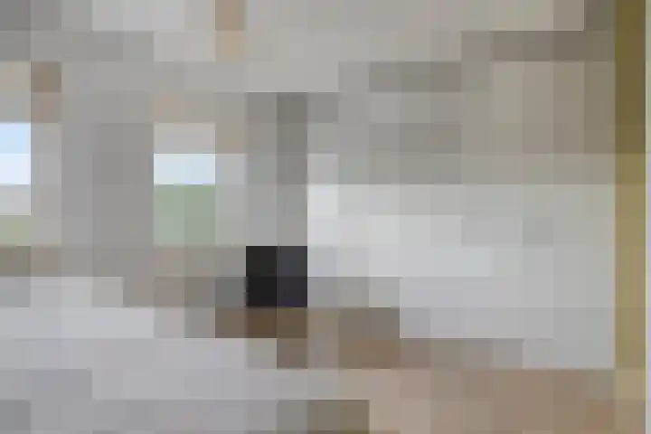 Plateel 8 Milsbeek thumbnail 22