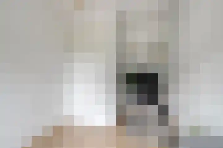 Plateel 8 Milsbeek thumbnail 26