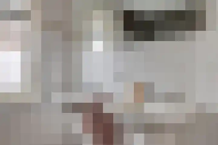 Plateel 8 Milsbeek thumbnail 28