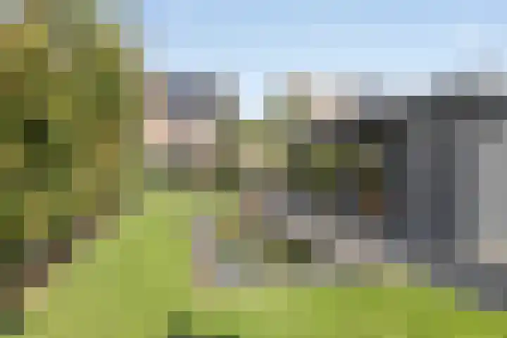 Plateel 8 Milsbeek thumbnail 32