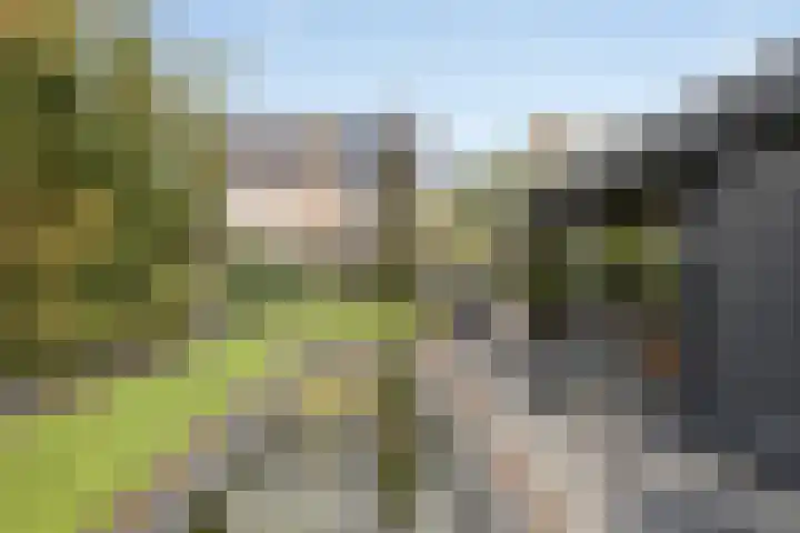 Plateel 8 Milsbeek thumbnail 33