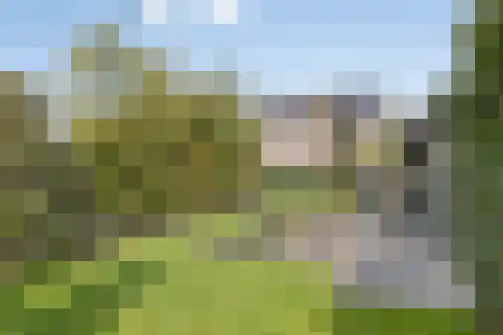 Plateel 8 Milsbeek thumbnail 34