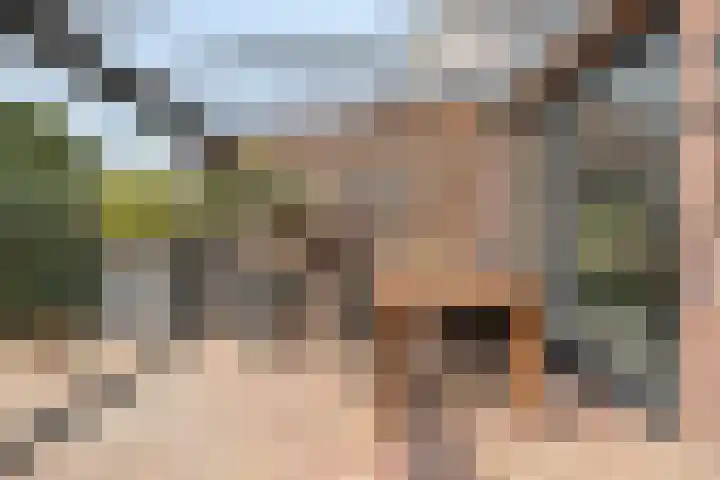 Plateel 8 Milsbeek thumbnail 36