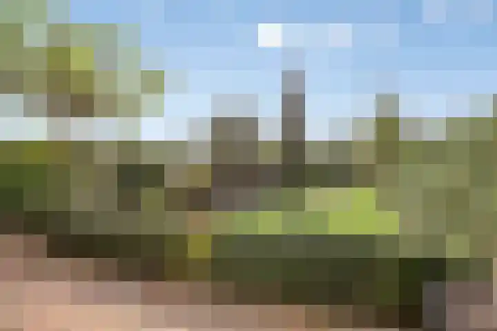 Plateel 8 Milsbeek thumbnail 39