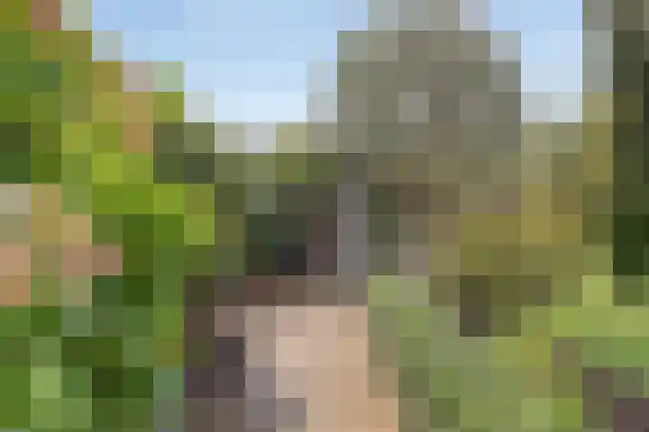 Plateel 8 Milsbeek thumbnail 40