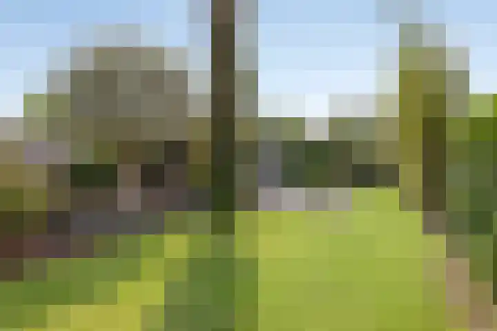 Plateel 8 Milsbeek thumbnail 41