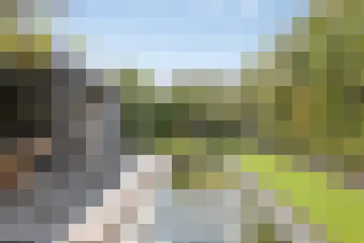 Plateel 8 Milsbeek thumbnail 42