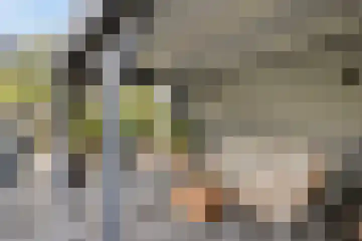 Plateel 8 Milsbeek thumbnail 43