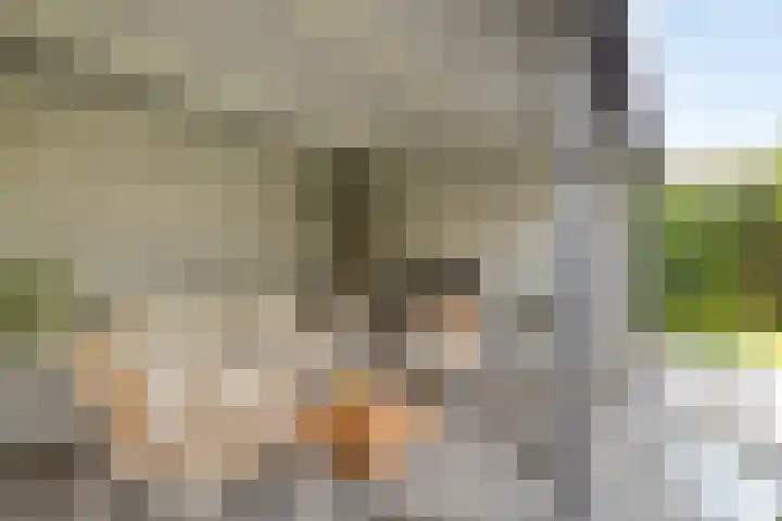 Plateel 8 Milsbeek thumbnail 44