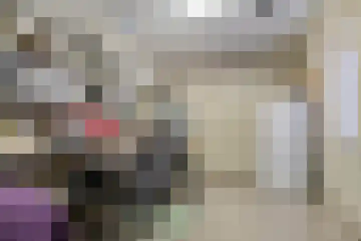 Plateel 8 Milsbeek thumbnail 46