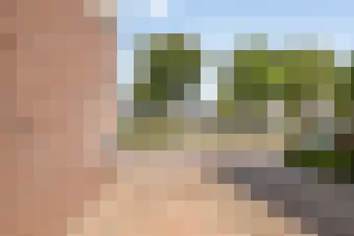 Plateel 8 Milsbeek thumbnail 49