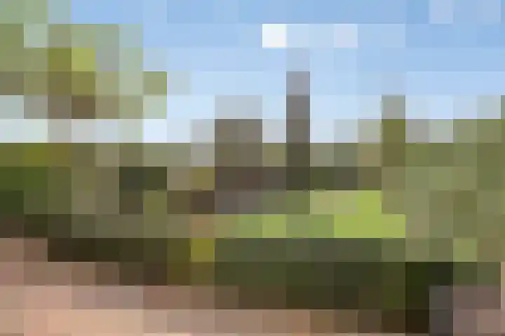 Plateel 8 Milsbeek thumbnail 5