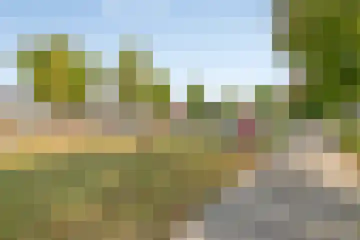 Plateel 8 Milsbeek thumbnail 53