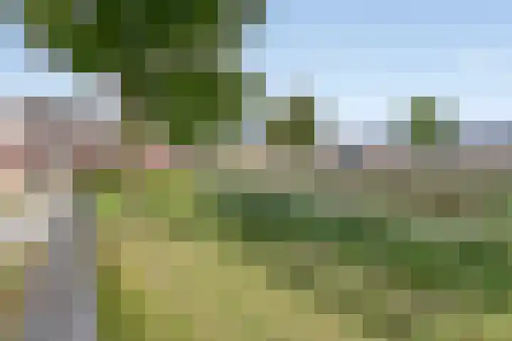 Plateel 8 Milsbeek thumbnail 54