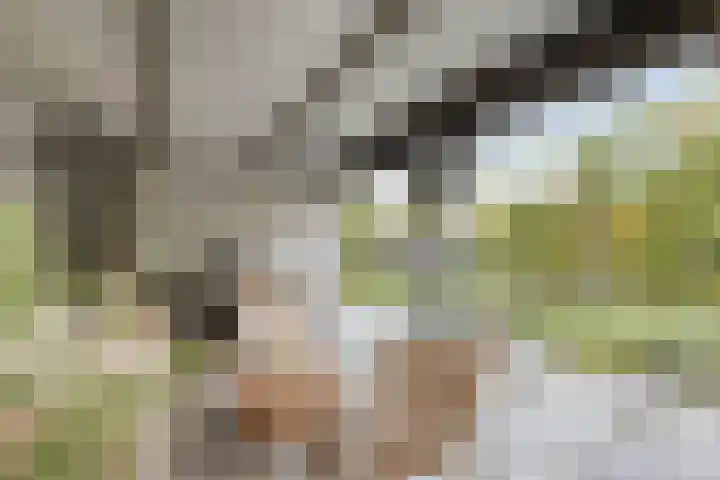Plateel 8 Milsbeek thumbnail 6