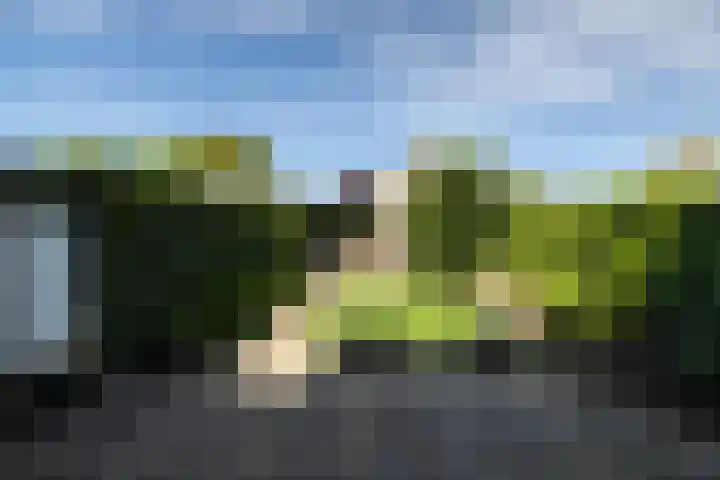 Plateelbakkerstraat 18 Breda thumbnail 27