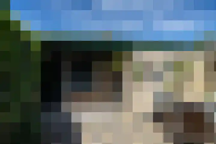 Plateelbakkerstraat 18 Breda thumbnail 32