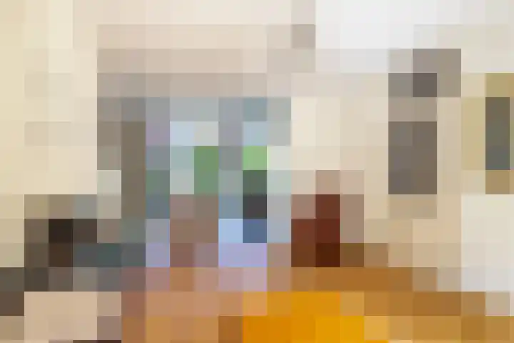 Plateelbakkerstraat 18 Breda thumbnail 4