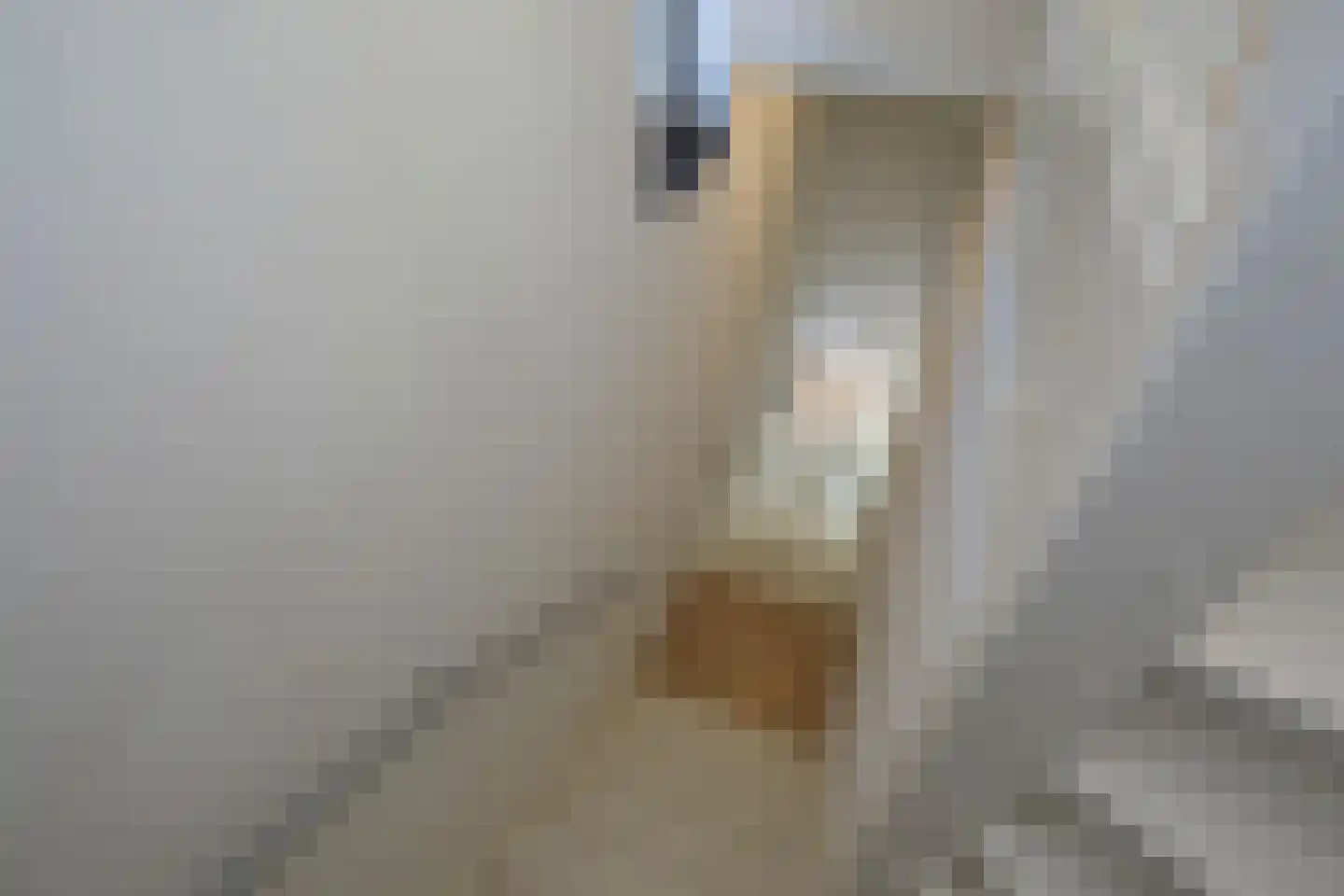 Plateellaan 16 Purmerend thumbnail 10