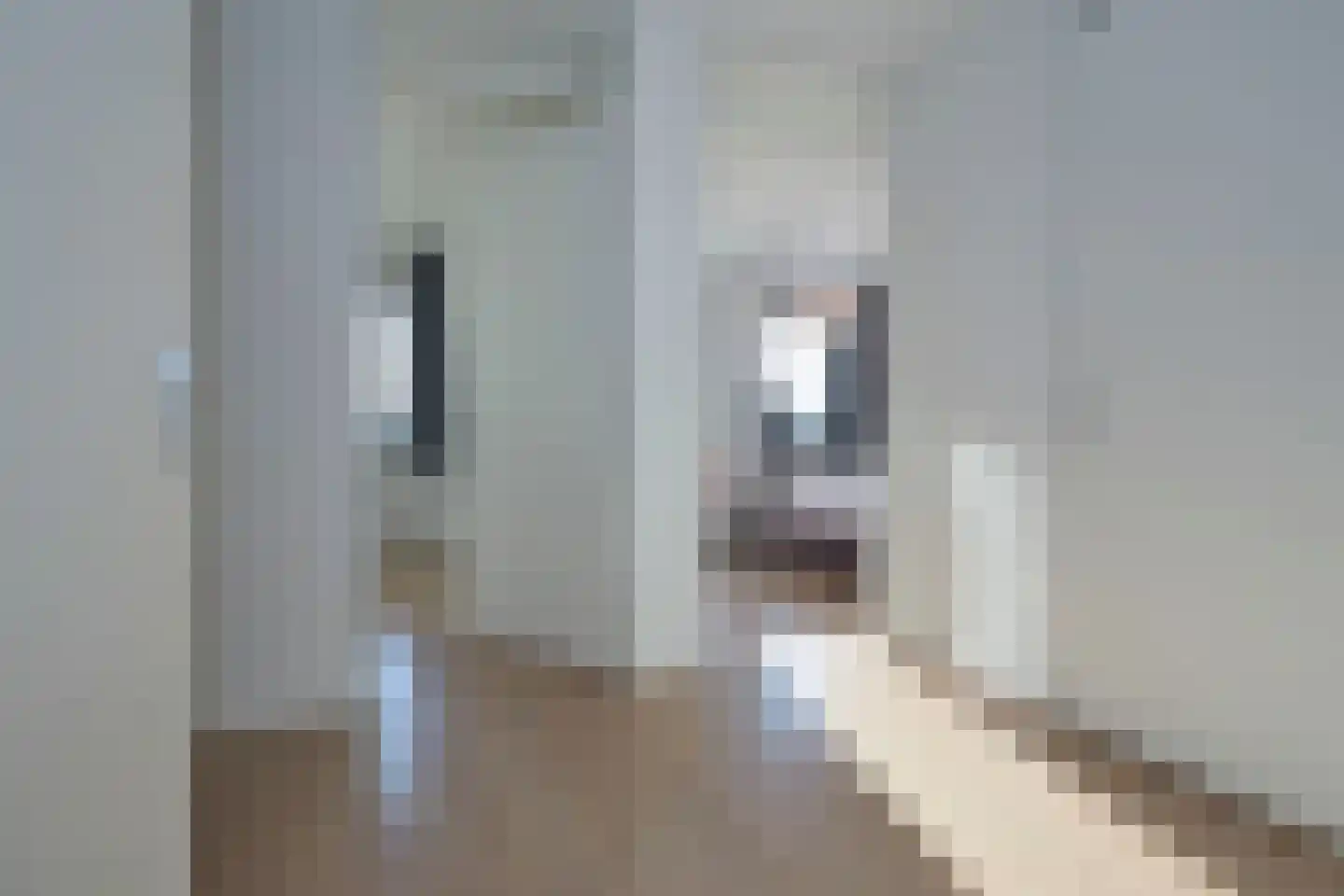 Plateellaan 16 Purmerend thumbnail 11