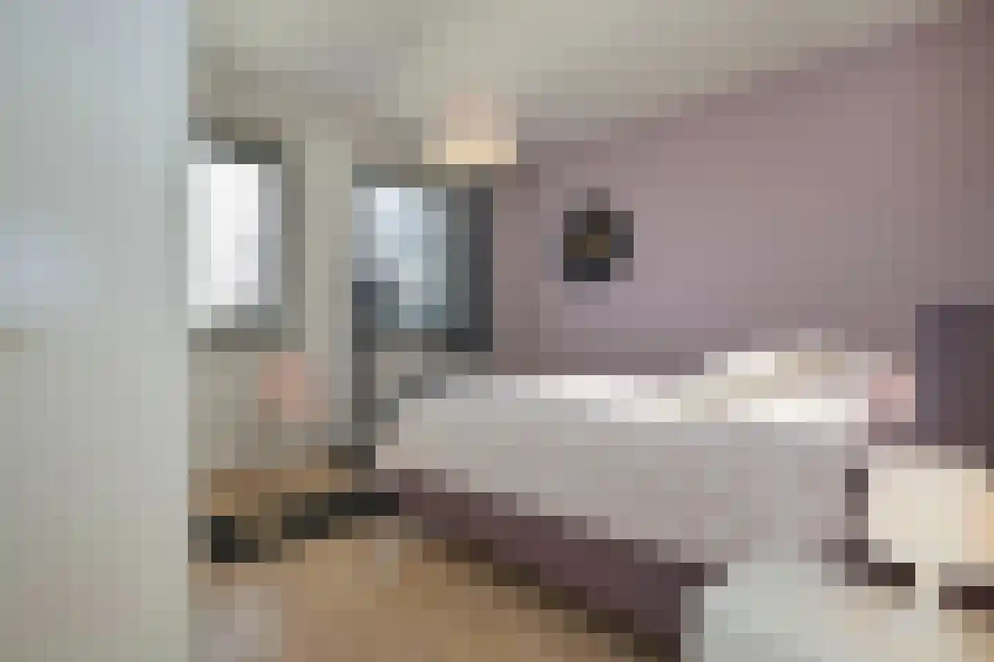 Plateellaan 16 Purmerend thumbnail 12