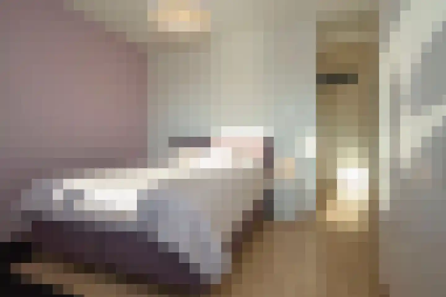 Plateellaan 16 Purmerend thumbnail 13