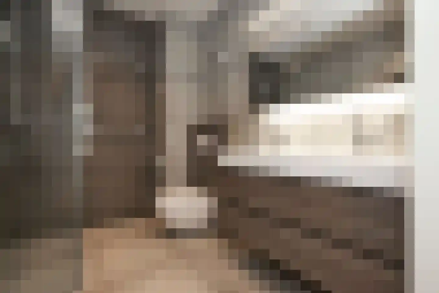 Plateellaan 16 Purmerend thumbnail 15