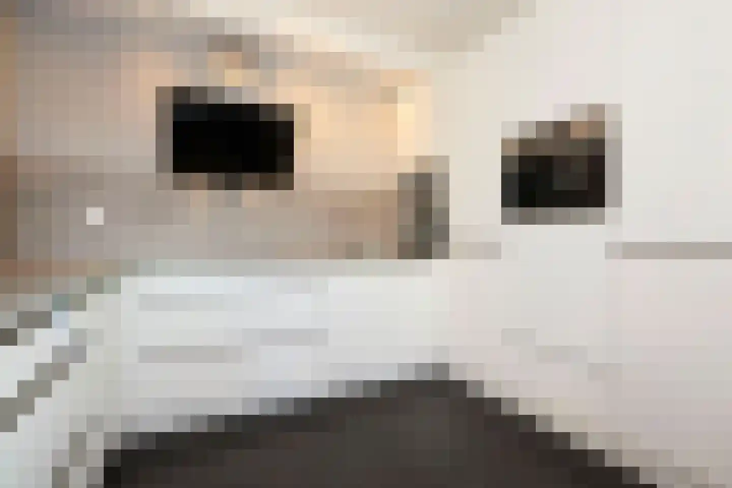 Plateellaan 16 Purmerend thumbnail 40