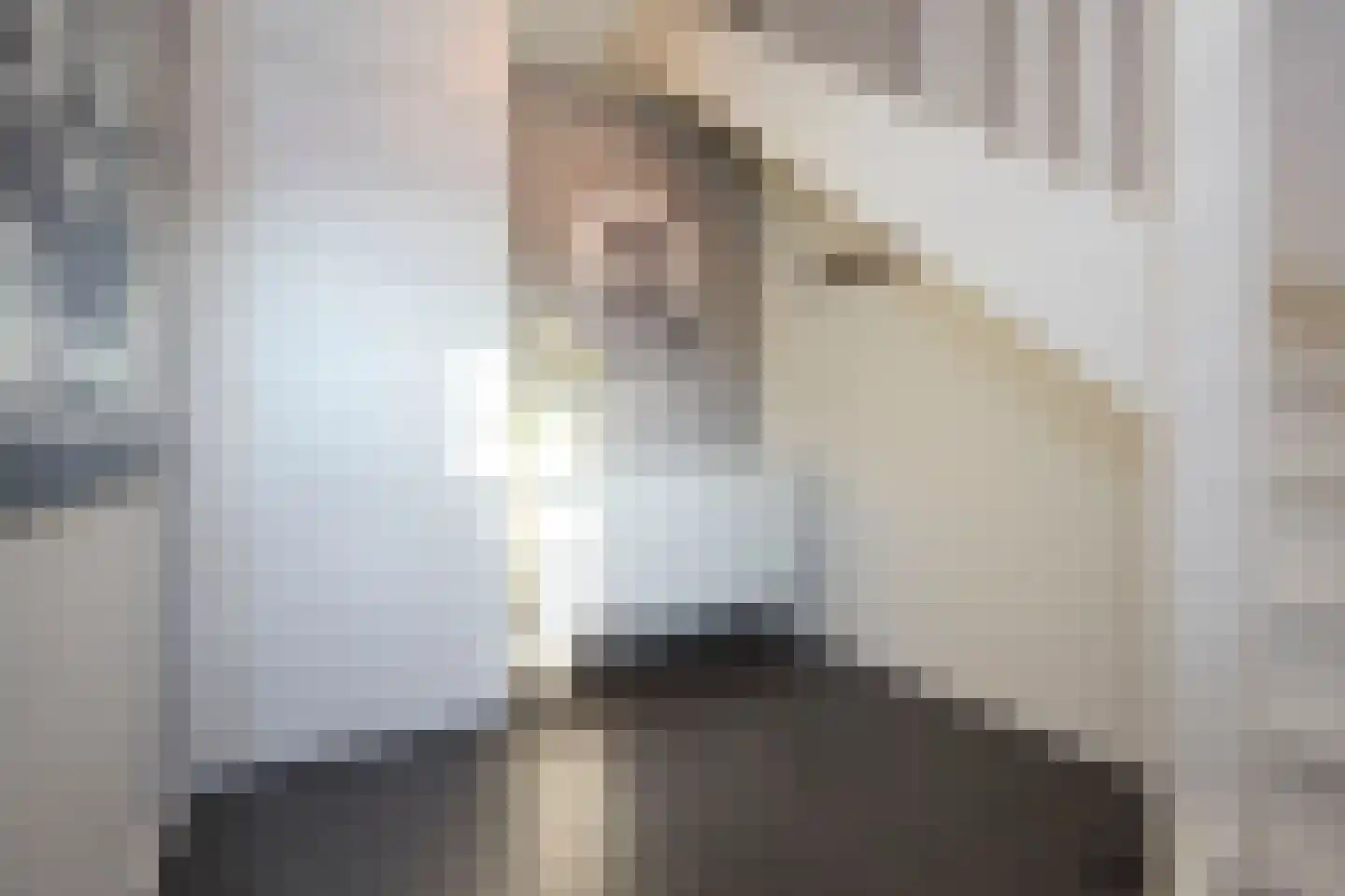 Plateellaan 16 Purmerend thumbnail 9