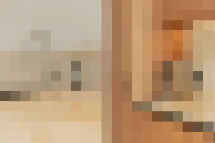 Plateellaan 22 Purmerend thumbnail 18