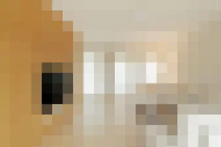 Plateellaan 22 Purmerend thumbnail 22