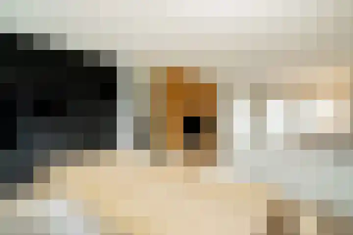 Plateellaan 22 Purmerend thumbnail 24