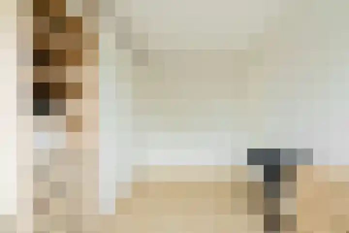 Plateellaan 22 Purmerend thumbnail 32