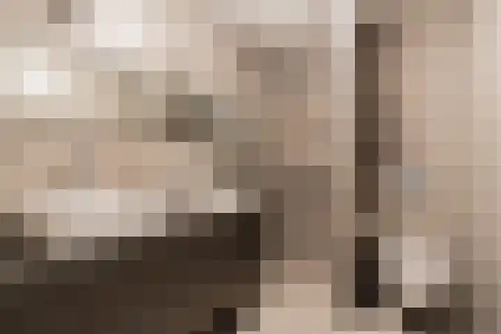 Plateellaan 22 Purmerend thumbnail 33