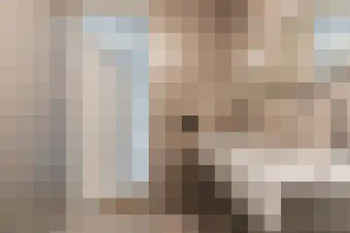 Plateellaan 22 Purmerend thumbnail 34